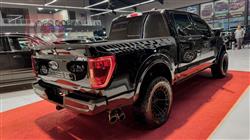 فۆرد F-150